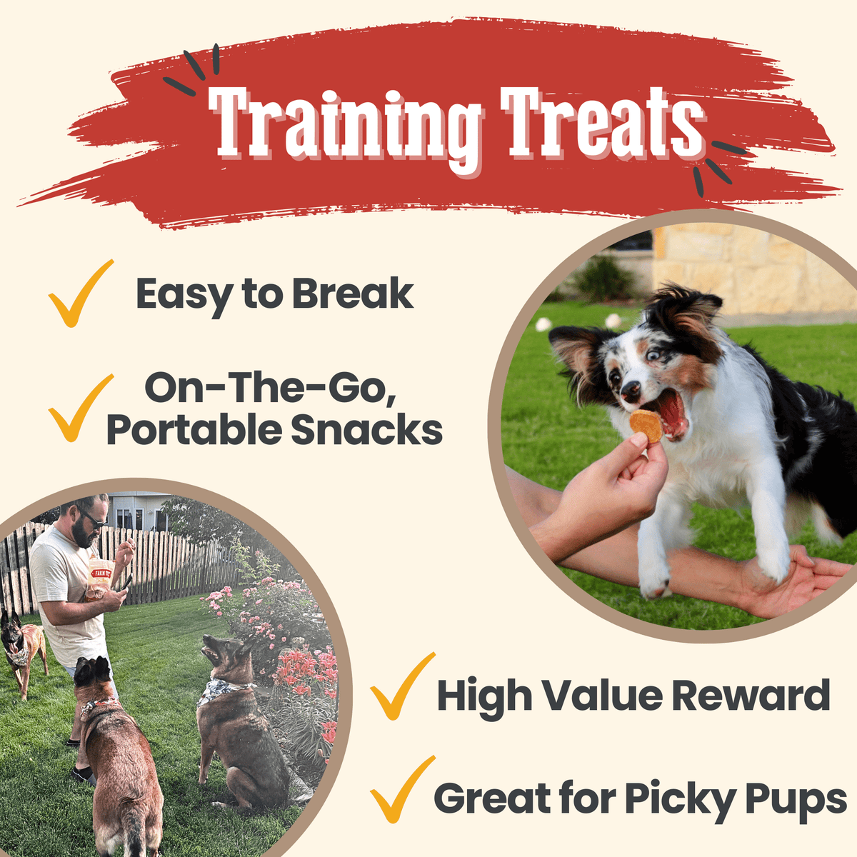 Farm to Pet Chicken Chips | Single-Ingredient Dog Treats