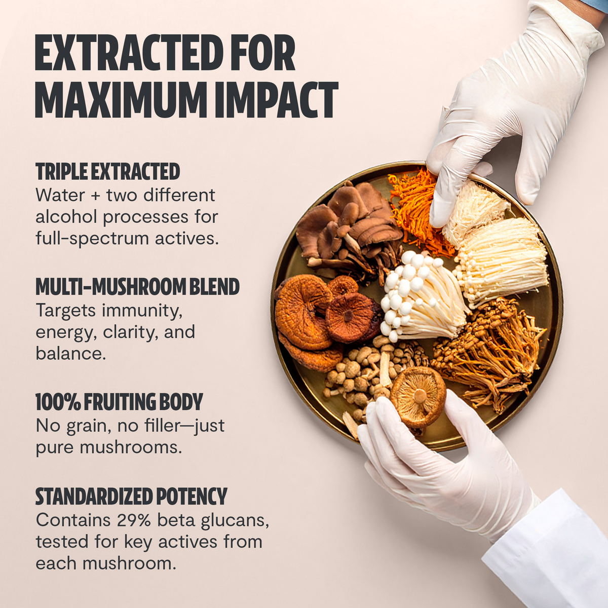 Organic Mushroom Complex | Supplement Capsules